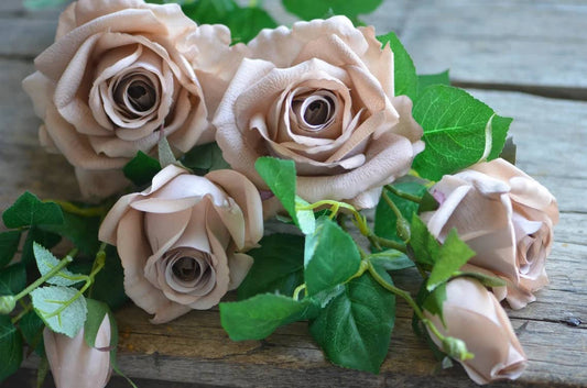 Antique Blush 27' Real Touch Rose Stem